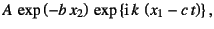 $\displaystyle A \exp\left(-b x_2\right) \exp\left\{\mbox{i} k 
\left(x_1-c t\right)\right\},$