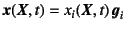 $\fat{x}(\fat{X},t)=
x_i(\fat{X},t) \fat{g}_i$